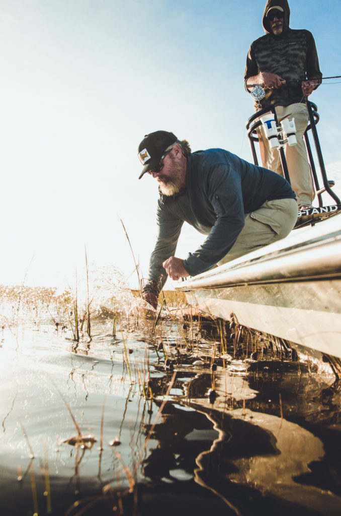 Captain Releasing red fish from site of the skiff boat in south Carolina 